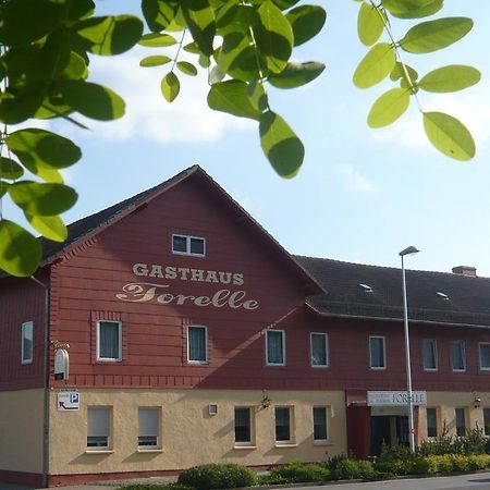 Gasthaus Forelle Thale Exterior photo