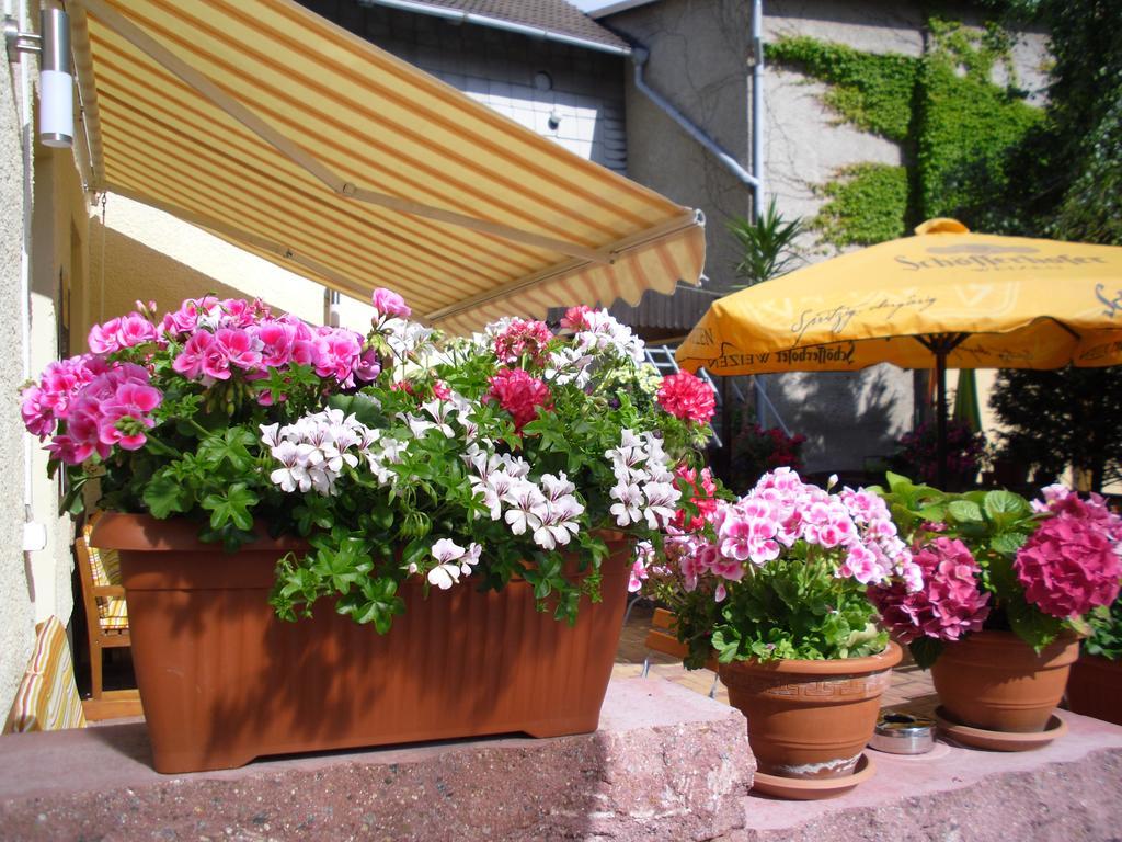 Gasthaus Forelle Thale Exterior photo